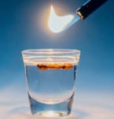 Sambuca Shot
